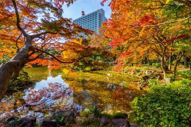 北海道札幌市北区の百合が原記念公園の魅力!周遊列車が走るフラワーパーク